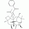 10-脫乙?；涂ǘ?III CAS 32981-86-5